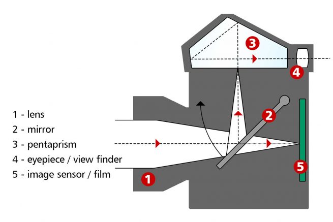 Simplified functional diagram of a single-lens reflex camera