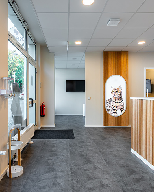 Farbstiche in Immobilienfotos korrigiert
