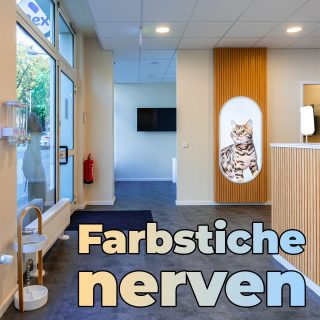Farbstiche in Immobilienfotos: Ursachen verstehen und professionell beseitigen